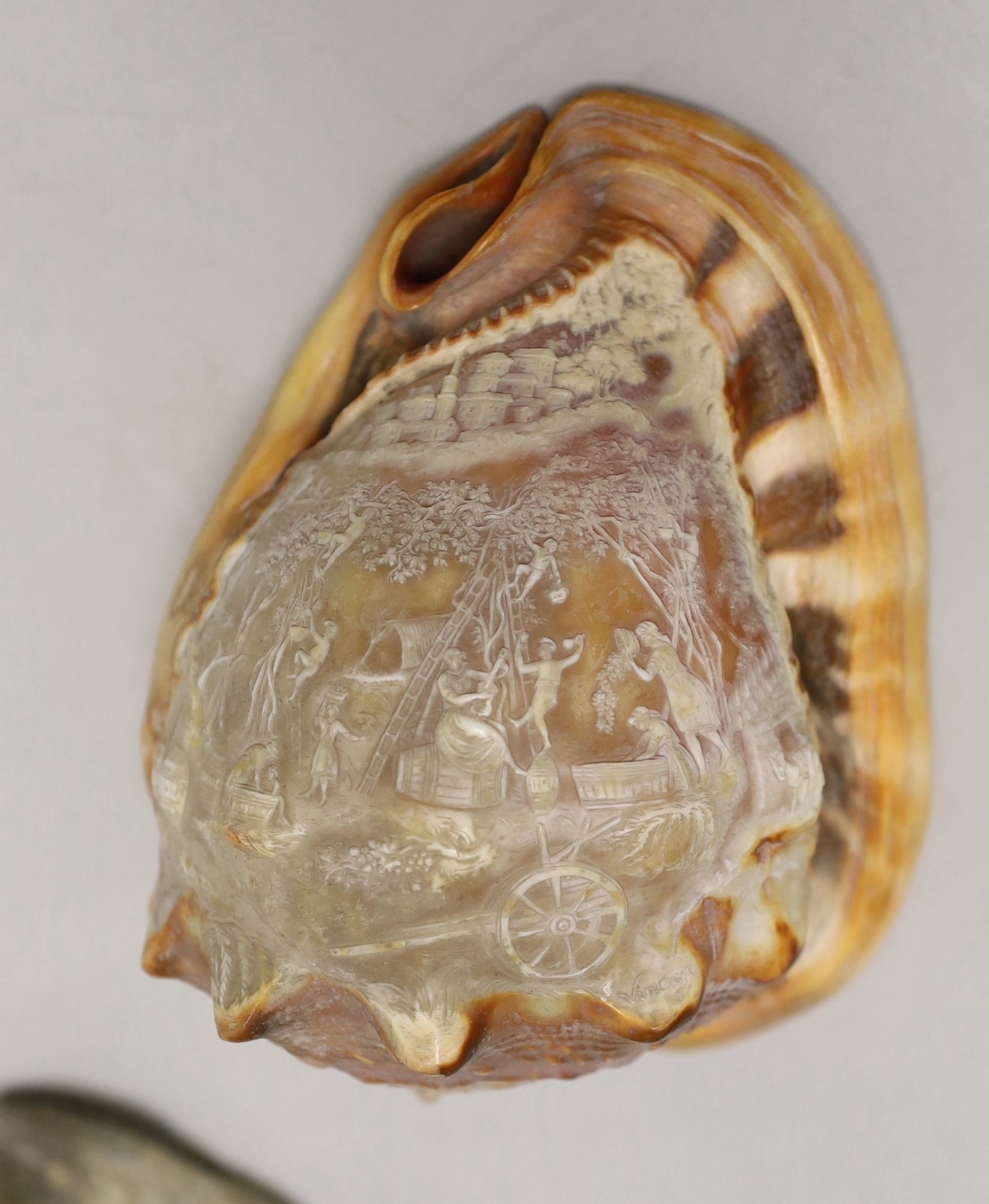 A 19th century Italian conch shell, engraved with grape picking and a town view, and a pair of 19th century mother-of-pearl shells engraved with poems (3)